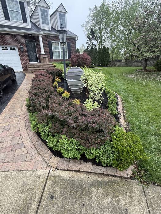 Newly designed planting bed with fresh mulch and clean edging