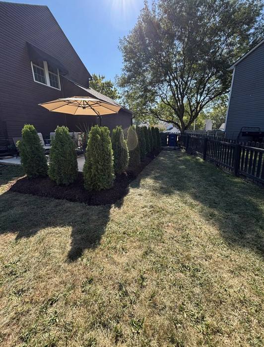 Side yard with newly installed plantings and mulched bed